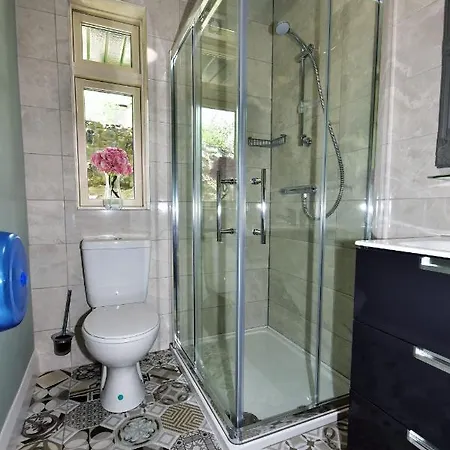 Lanigan'S Accommodation דירה קילקני